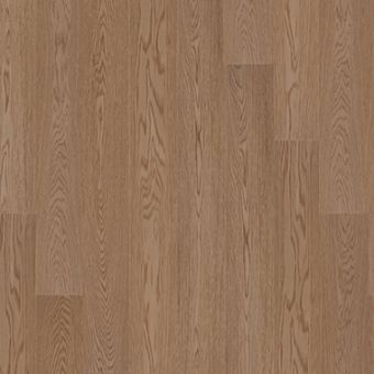 피오타